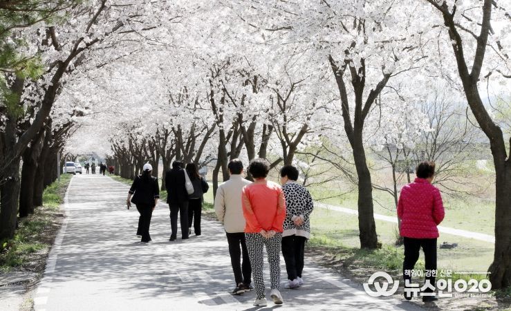 안성에 봄이 내려앉았다‥