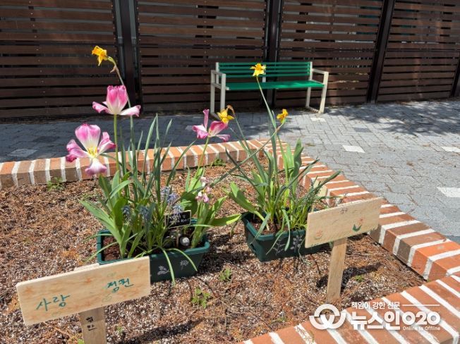 화분심기치유체험