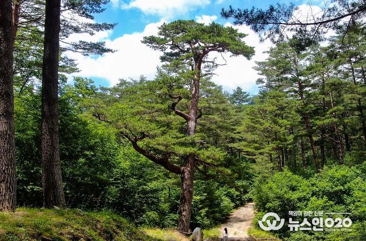 봉화·울진 체류형 트레킹 여행