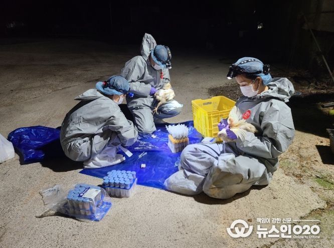 종계장 정밀검사